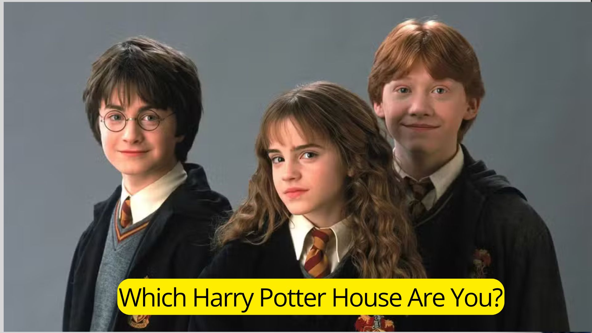 Which Harry Potter House Are You?