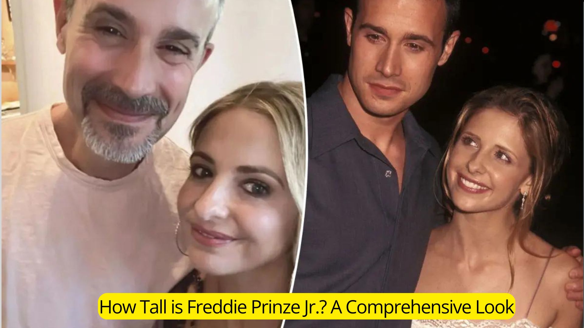 How Tall is Freddie Prinze Jr.? A Comprehensive Look